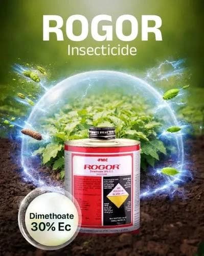FMC Rogor Insecticide