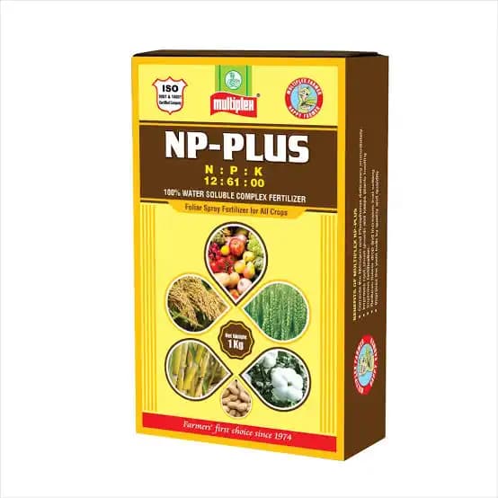 Multiplex NP Plus