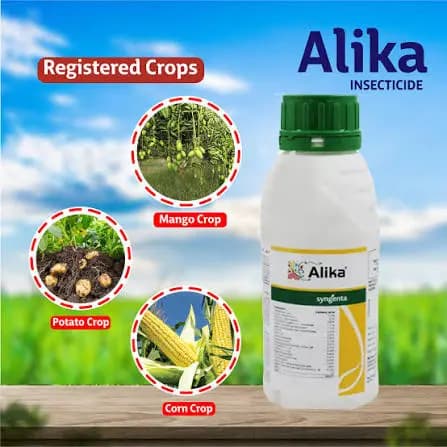 Syngenta Alika Insecticide