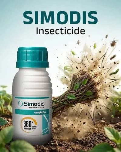 Syngenta Simodis