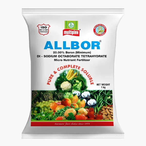 Multiplex Allbor