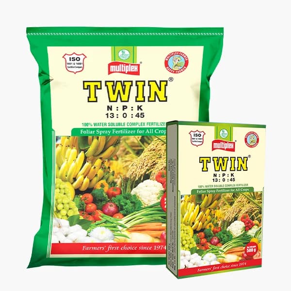 Multiplex TWIN