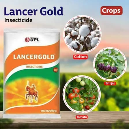 UPL Lancergold Insecticide