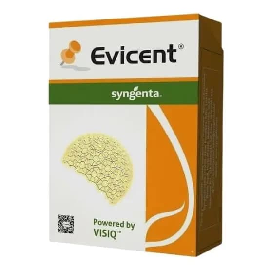 Syngenta Evicent Insecticide