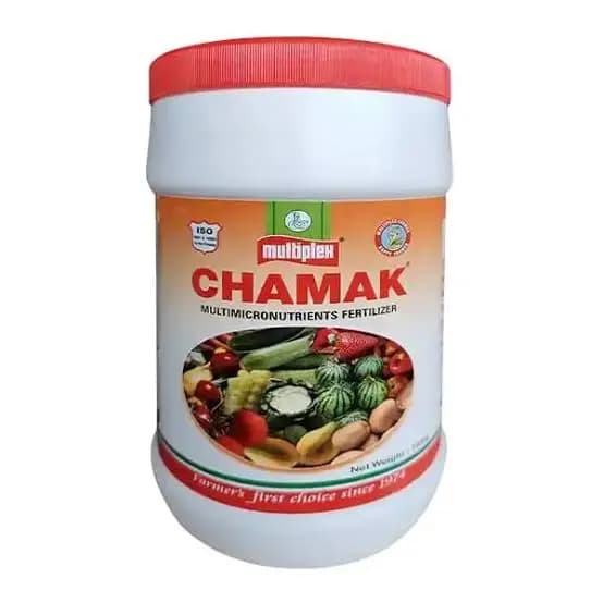 Multiplex Chamak