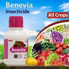 FMC Benevia Insecticide