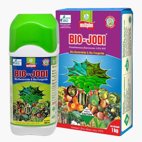 Multiplex Bio-Jodi