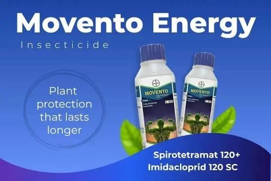 Bayer Movento Energy Insecticide