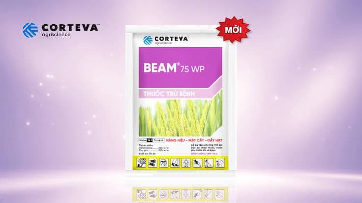 Corteva Beam Fungicide