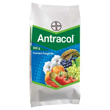 Bayer Antracol Fungicide