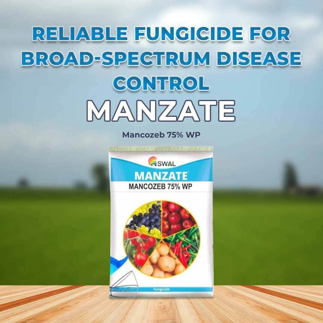 SWAL Manzate