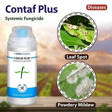 Tata Rallis Contaf Plus Fungicide