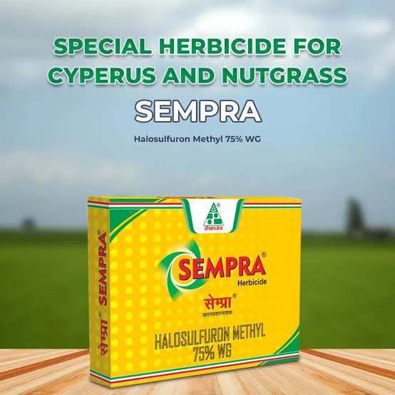 Dhanuka Sempra Herbicide