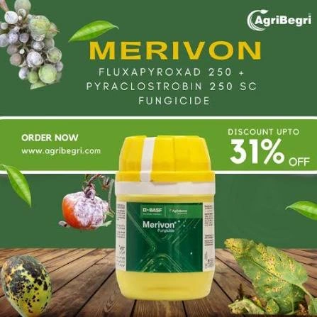 BASF Merivon Fungicide